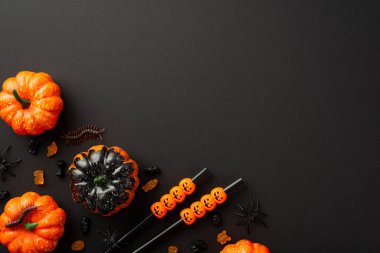 Cadılar Bayramı partisi konsepti. Küçük balkabağı kokteylinin en üstteki fotoğrafı jöle şekerleri kırkayaklar ve kopyalanmış siyah arka planda örümcekler