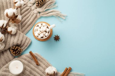 Örülmüş ekose bardakta sıcak su içerken çekilen en iyi fotoğraf. Çam kozalakları tarçın kozalakları ve kopyalanmış pastel mavi arka planda anason servis ediliyor.