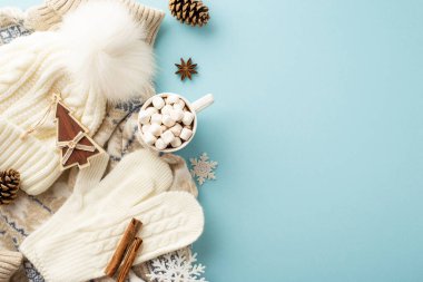 Kış konsepti Marshmallow eldivenli kakao fincanının üst görüntüsü örülmüş şapka kazak köknar kar taneleri çam kozalakları tarçın çubukları izole edilmiş pastel mavi arka planda