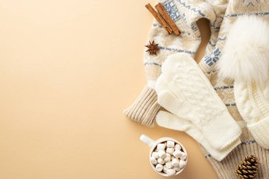 Kış konsepti Örülmüş başlık eldiveni kazak kupa sıcak içecek lokum koni anason ve tarçın çubukları izole edilmiş bej arka planda boş alan