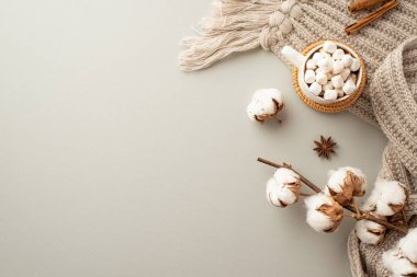 Kış konsepti Örülmüş ekose bir fincan sıcak çikolatayla rattan servis yapan marshmallow tarçın çubukları ve izole edilmiş pastel gri arka planda pamuk dalları.