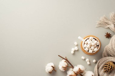 Kış mevsimi konsepti. En üstteki fotoğrafta marshmallow ve rattan servis altlığı örülmüş anason anason kozalağı ve izole edilmiş pastel gri arka planda pamuk dalı var.