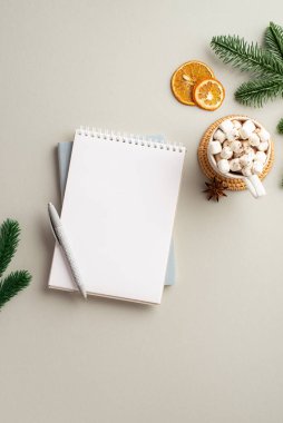 Kış havası. En üstteki dikey fotoğraf, boş arkaplan ve izole edilmiş gri arkaplan üzerinde kurutulmuş portakal dilimleri ve çam dalları bulunan marshmallow anason anasonlu sıcak içecek dolu kalem bardağı.