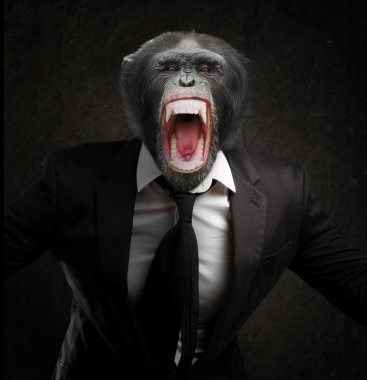 Frustrated Monkey In Business Suit