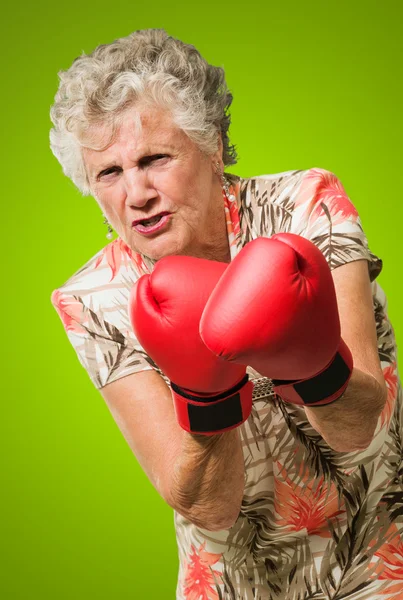 Anger Senior Boxer — Stock Photo, Image