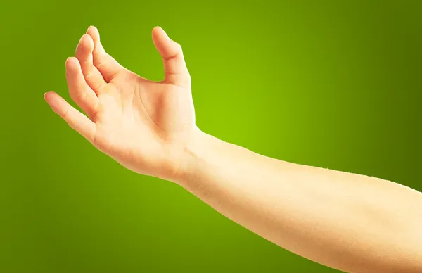 Insan eli holding — Stok fotoğraf