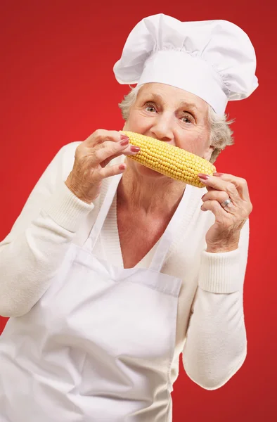 Retrato de cocinera senior comiendo mazorca de maíz sobre fondo rojo —  Fotos de Stock