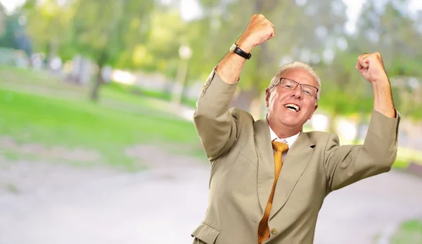 Senior Business Man Cheering — Stock Photo, Image