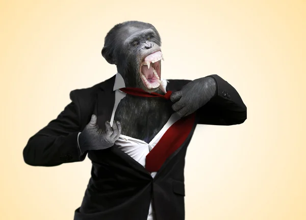 Irriterad monkey skrika — Stockfoto