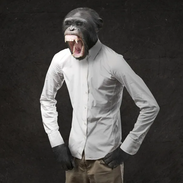 Geërgerd aap schreeuwen — Stockfoto