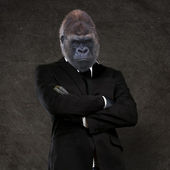 Gorilla-Geschäftsmann im schwarzen Anzug