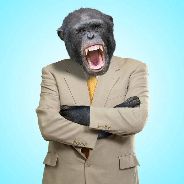 Arrabbiato gorilla in tuta — Foto Stock