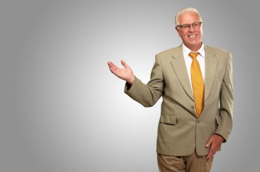 üst düzey iş adamı sunulması