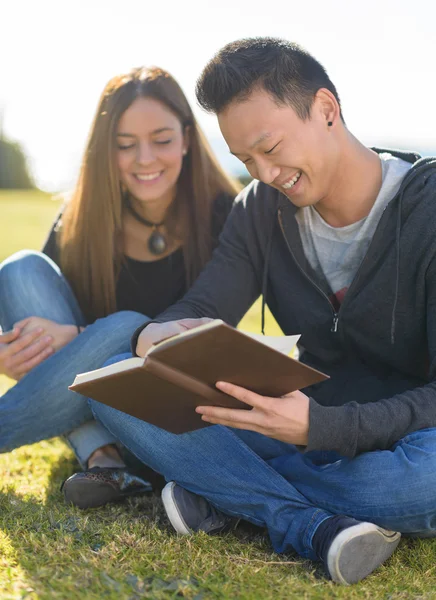 Young Happy Student Studying — Stock Photo, Image