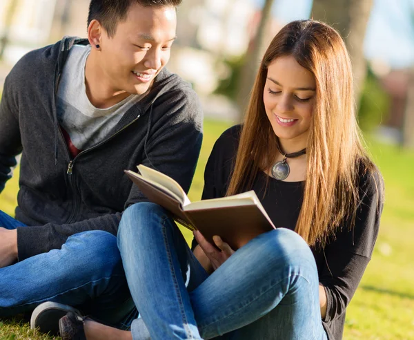 Ung glad student som studerar — Stockfoto