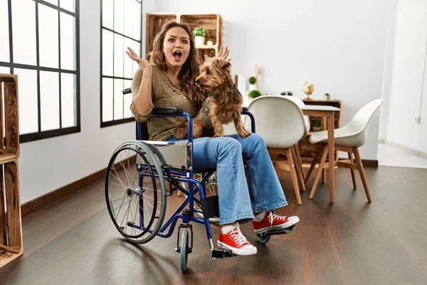 Молодая Латиноамериканка Сидящая Дома Инвалидной Коляске Празднует Безумный Безумный Успех — стоковое фото