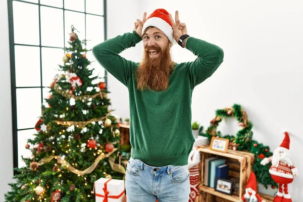 Redhead man with long beard wearing christmas hat by christmas tree posing funny and crazy with fingers on head as bunny ears, smiling cheerful