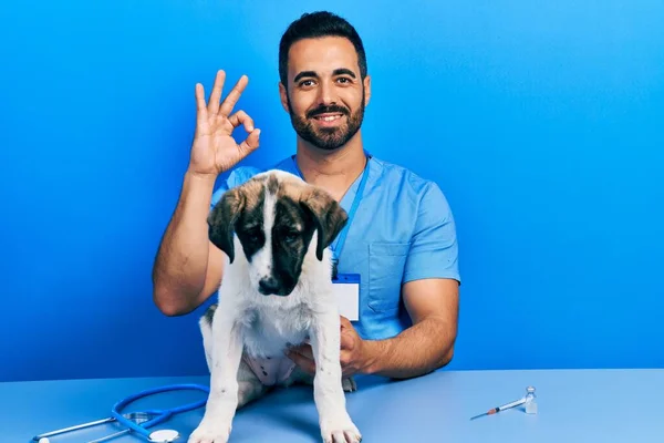 Bonito Homem Veterinário Hispânico Com Barba Verificando Saúde Cão Sorrindo — Fotografia de Stock
