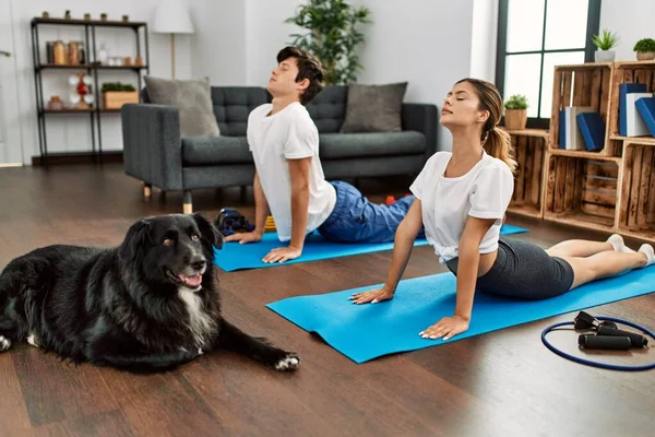 Jong Kaukasisch Paar Concentreren Training Yoga Met Hond Thuis — Stockfoto