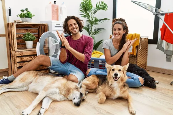 Jovem Casal Hispânico Fazendo Roupa Com Cães Batendo Palmas Aplaudindo — Fotografia de Stock