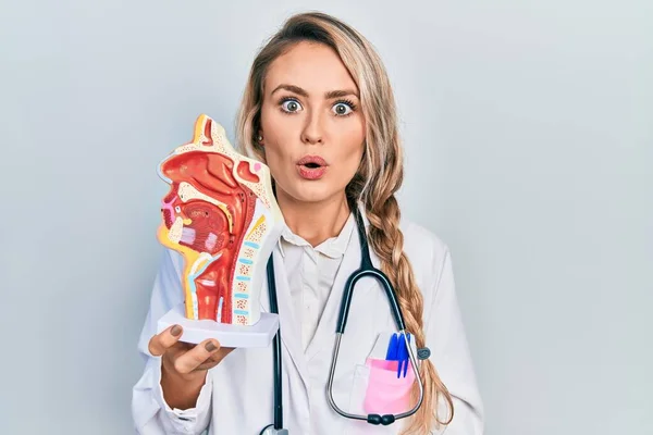 Mooie Jonge Blonde Vrouw Met Anatomisch Model Van Respiratoire Systeem — Stockfoto