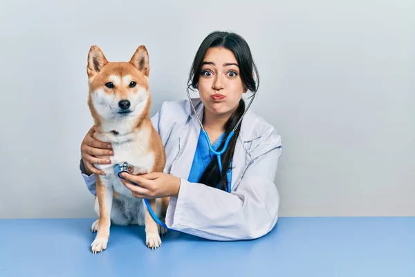 犬の健康をチェックする美しいヒスパニック系獣医師の女性は面白い顔で頬をパフ 空気を吸い込み空気を吸い込み — ストック写真
