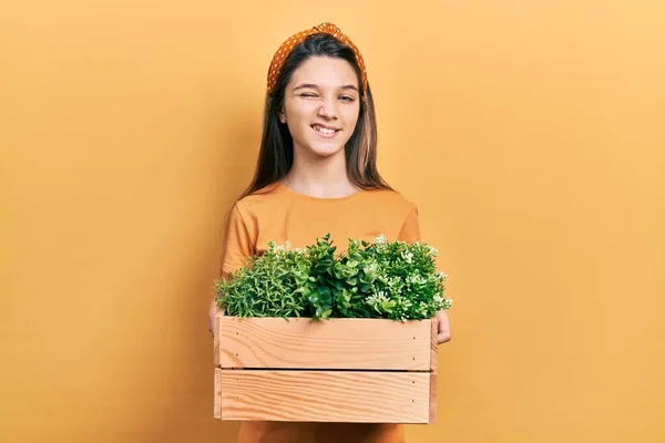 Menina Morena Jovem Segurando Planta Madeira Pote Piscando Olhando Para — Fotografia de Stock