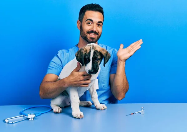Красивый Латиноамериканец Ветеринар Бородой Проверяет Здоровье Собаки Улыбаясь Веселым Подарком — стоковое фото