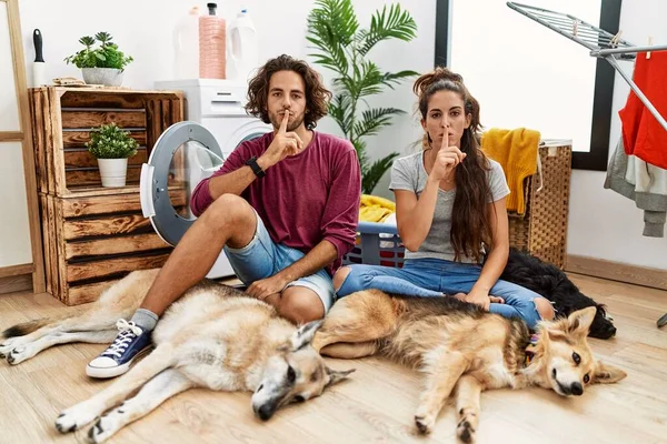 Junges Hispanisches Paar Beim Wäschewaschen Mit Hunden Die Mit Dem — Stockfoto