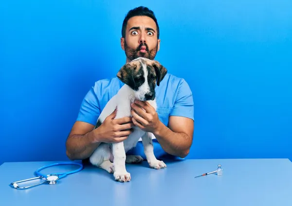 Bonito Homem Veterinário Hispânico Com Barba Verificando Saúde Cão Fazendo — Fotografia de Stock