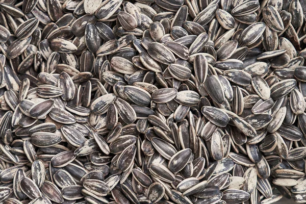 Beautiful Sunflower Seeds Image — Stock Photo, Image