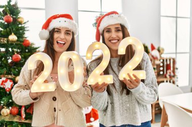 İki kadın yeni yılı kutluyor. 2022 ışık tutuyor. Yılbaşı ağacı evde duruyor.