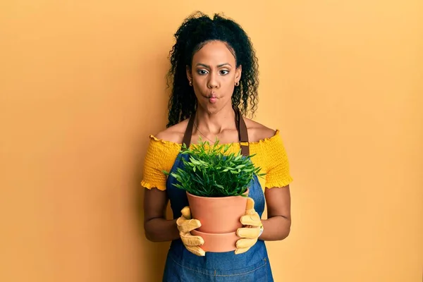 Mulher Afro Americana Meia Idade Segurando Panela Plantas Fazendo Cara — Fotografia de Stock