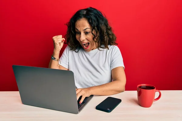 Hermosa Mujer Mediana Edad Que Trabaja Oficina Usando Computadora Portátil — Foto de Stock