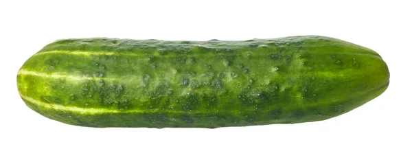 Único Pepino Isolado Fundo Branco — Fotografia de Stock