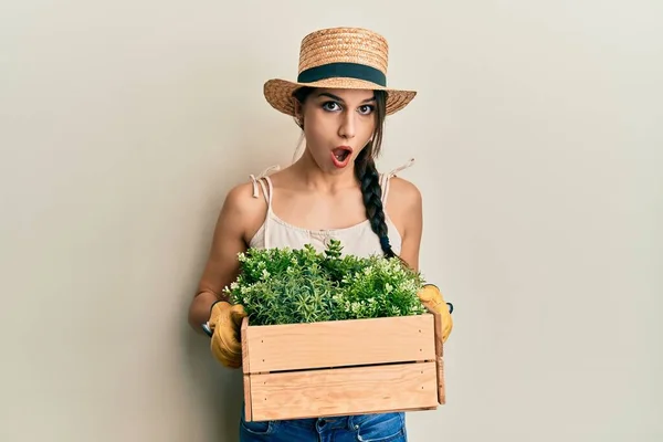 Jonge Spaanse Vrouw Met Groene Plantenpot Bang Geschokt Met Verbazing — Stockfoto