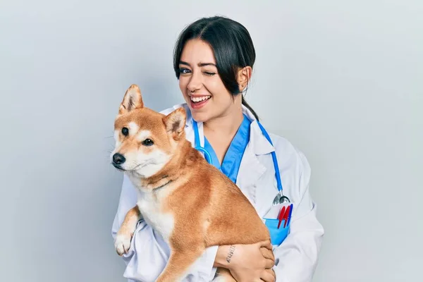 Beautiful Hispanic Veterinarian Woman Holding Dog Winking Looking Camera Sexy — Stok fotoğraf