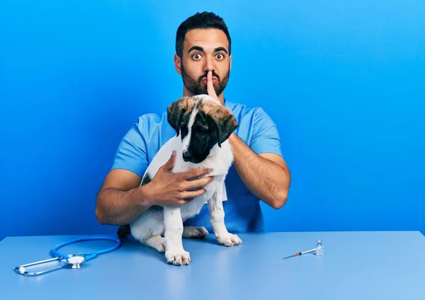 Красивый Латиноамериканец Ветеринар Бородой Проверяющий Собачье Здоровье Просит Замолчать Пальцем — стоковое фото