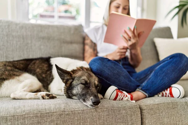 年轻的高加索女孩高兴地坐在沙发上 带着狗在家里看书 — 图库照片