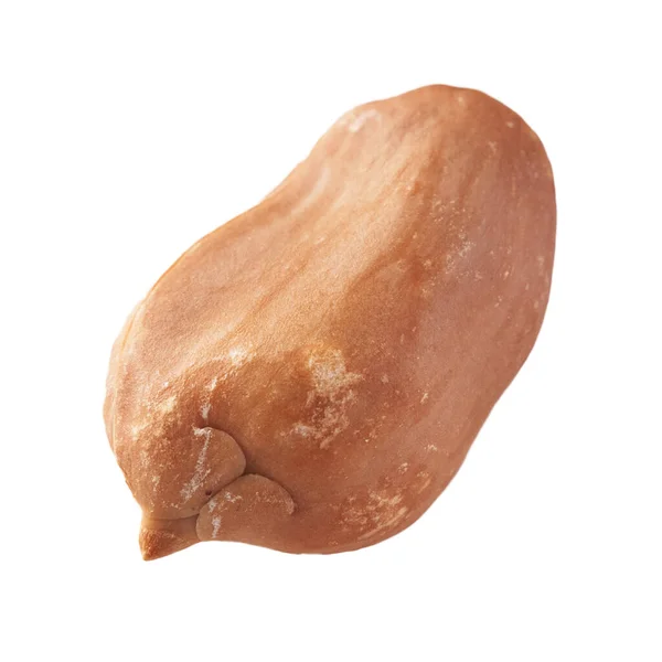 Single Peeled Peanut Isolated White Background — Stock Photo, Image