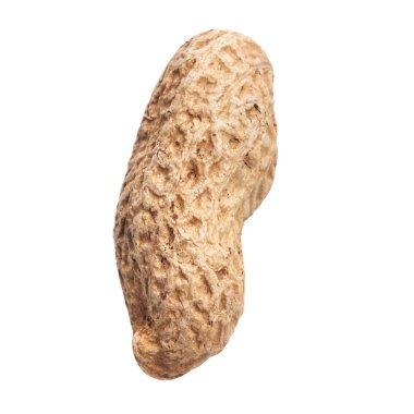  Beyaz arka planda kabuklu tek bir fıstık.