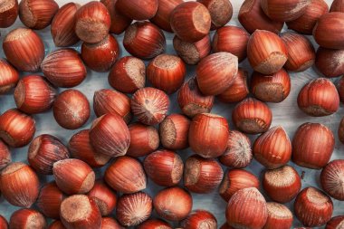 Sağlıklı doğal fındıklar. Çiğ fındık dokusu