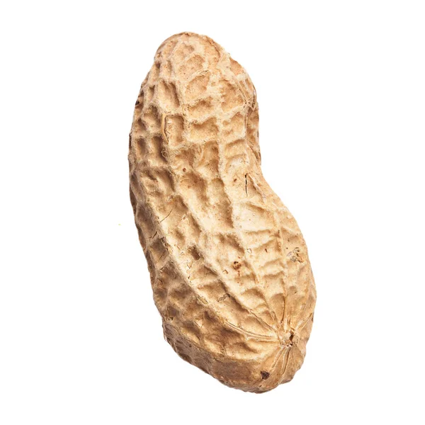 Einzelne Erdnuss Mit Schale Isoliert Auf Weißem Hintergrund — Stockfoto
