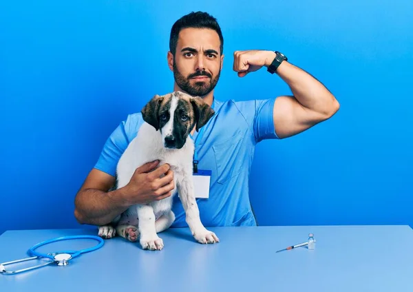 Bello Ispanico Veterinario Uomo Con Barba Controllo Della Salute Del — Foto Stock