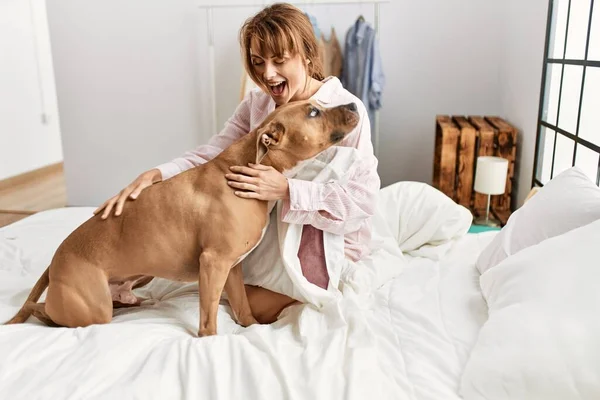 Junge Kaukasierin Lächelt Selbstbewusst Und Spielt Mit Hund Schlafzimmer — Stockfoto