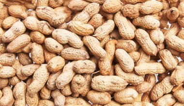  Kabuk desenli bir avuç fıstık.