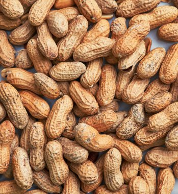 Sağlıklı kavrulmuş soyulmamış fıstık. Kahverengi fındık dokusu