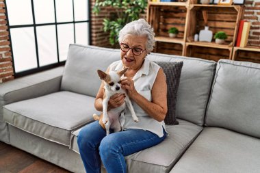 Yaşlı, gri saçlı, gülümseyen bir kadın. Elinde Chiuahua ile evde oturuyor.