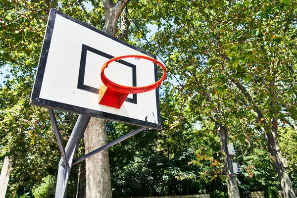 Güzel Basketbol Potası Resmi — Stok fotoğraf