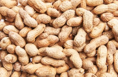  Kabuk desenli bir avuç fıstık.